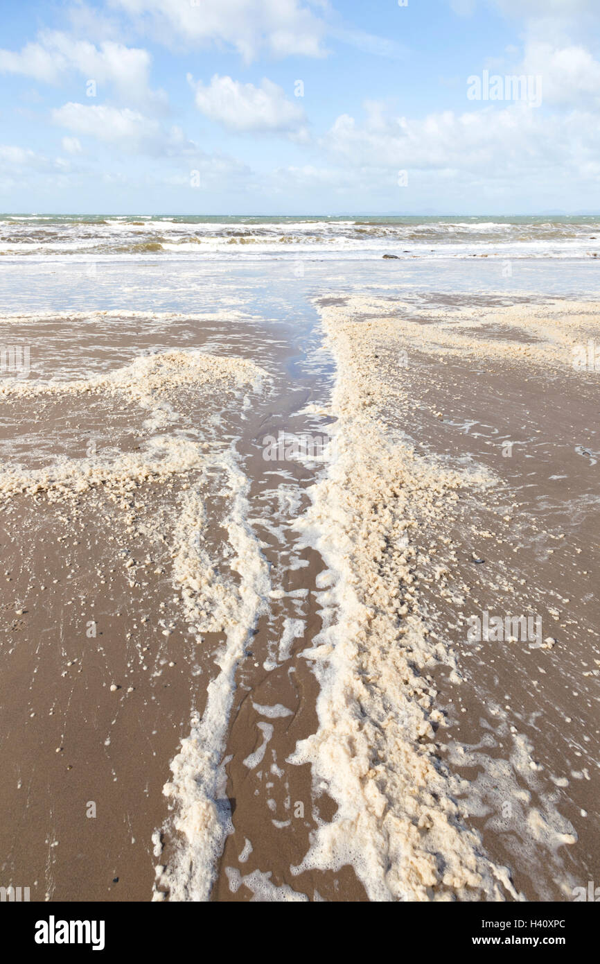 Schiuma di mare oceano o schiuma su una spiaggia britannica, Gran Bretagna, Regno Unito Foto Stock