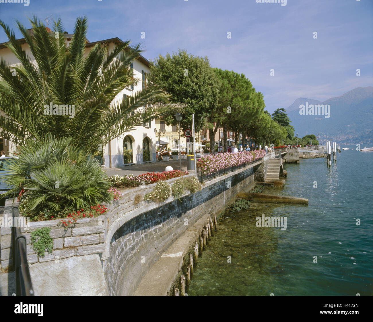 L'Italia, il lago di Como, Menaggio, banca promenade, decorazioni floreali, Europa, Sud, Europa, Nord Italia, Lombardia, Lago prealpini, Tu Lago di Como, lario, località turistica, città, porta al lago, Riva, promenade, pontili, turismo, turistiche, passante, fl Foto Stock