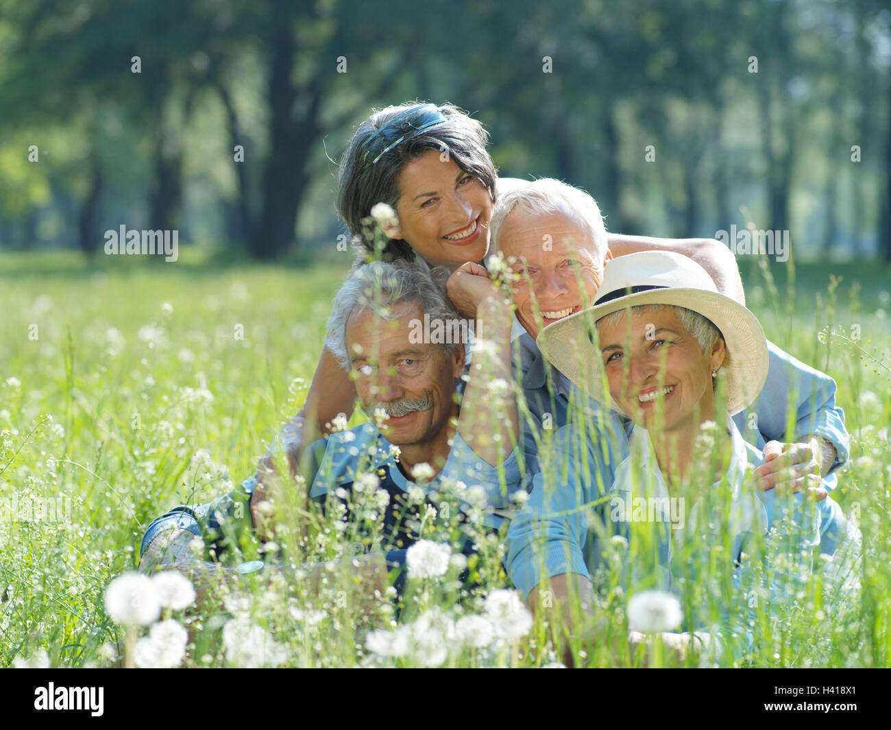 Prato, coppie senior, felice, Ritratto, Foto di gruppo, anziani, coppie, amici, quattro, l'amicizia, la migliore età, felice, allegria, sorriso, tempo libero, natura pianta, flower meadow, Puff's fiori, parco, estate, all'esterno, soleggiato Foto Stock