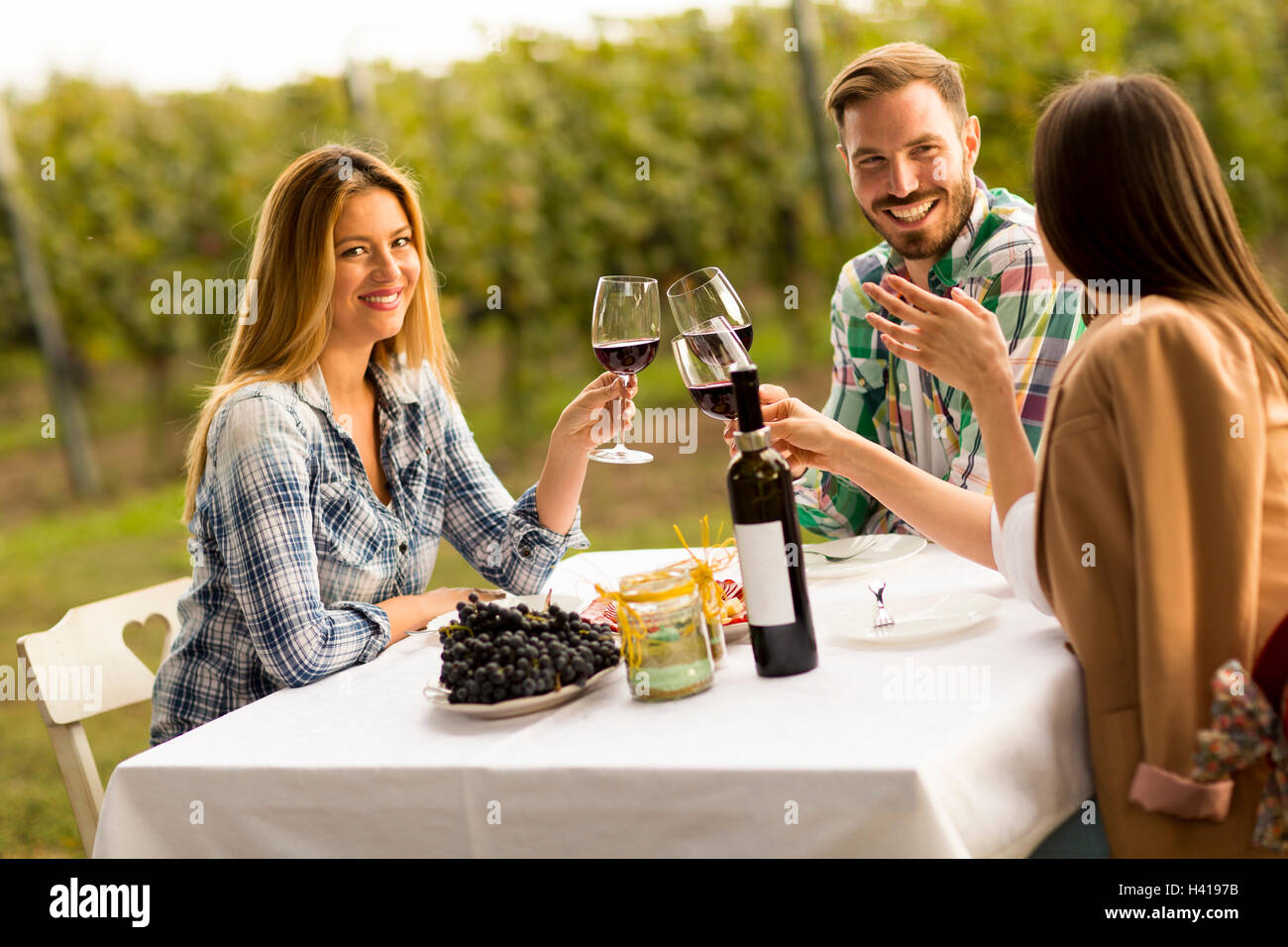 I giovani per gustare la cena e degustazione di vino nella vigna Foto Stock