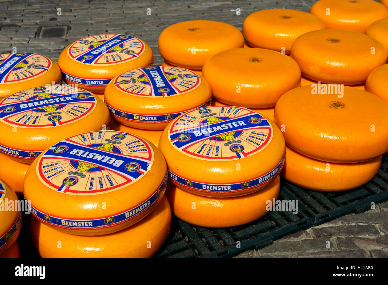Turni di Beemster olandese formaggio al mercato del formaggio di Alkmaar, Paesi Bassi Foto Stock