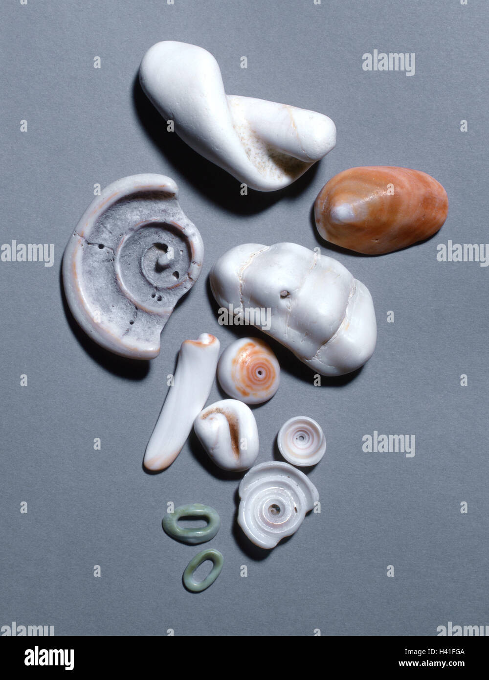 Flotsam e jetsam, conchiglia, diverso, cozze, escargot case, gusci di lumaca, bucce di lime, animali marini, alluvially, trova oggetti da collezione, trovare, cerca di raccogliere, natura, still life, la fotografia del prodotto Foto Stock