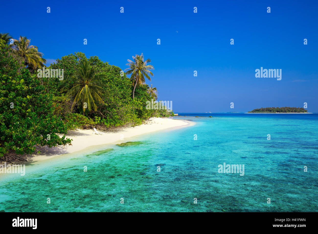 Tropical Maldive isola con spiaggia di sabbia con palme e tourquise acqua chiara Foto Stock