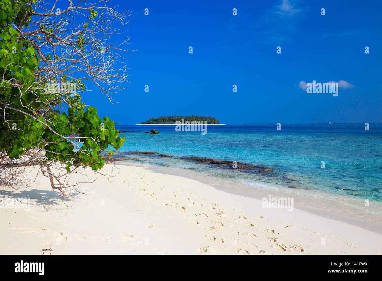 Tropical Maldive isola con spiaggia di sabbia con palme e turchesi acque chiare Foto Stock