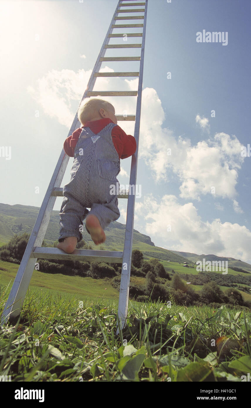 Prato, conduttore, infantile, alto livello di arrampicata, vista posteriore, estate, luce posteriore bambino, baby, 1 anno, scala, Anstelleiter, encl. leech pus, conduttore di alluminio, alta, altezza, ripida salita, go up, hinaufklettern, pericolosamente, pericolo e la situazione di pericolo, unat Foto Stock