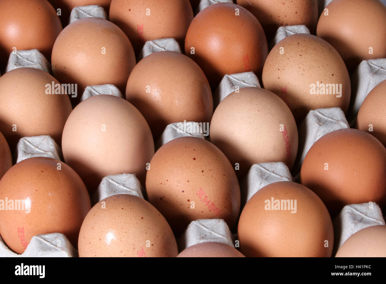 Pollo uova marrone Foto Stock