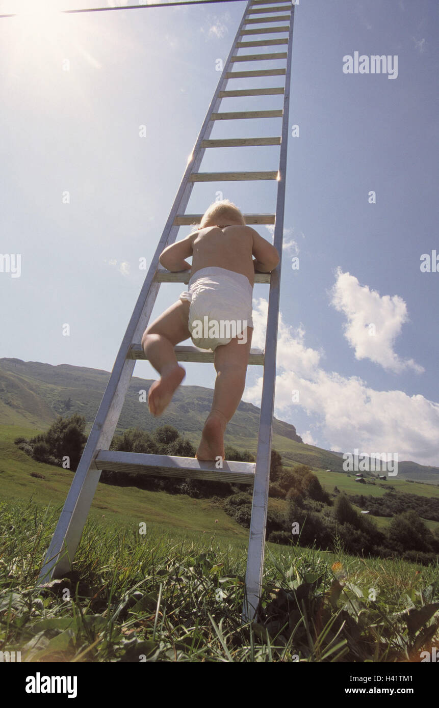 Prato, conduttore, infantile, alto livello di arrampicata, vista posteriore, estate, luce posteriore bambino, baby, 1 anno, pannolino, scala, Anstelleiter, encl. leech pus, conduttore di alluminio, alta, altezza, ripida salita, go up hinaufklettern, pericolosamente, pericolo e la situazione di pericolo Foto Stock