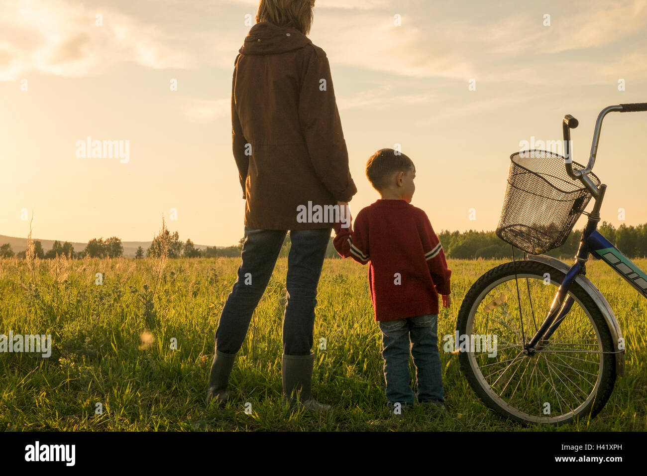 Madre e figlio tenendo le mani in un campo vicino a noleggio Foto Stock