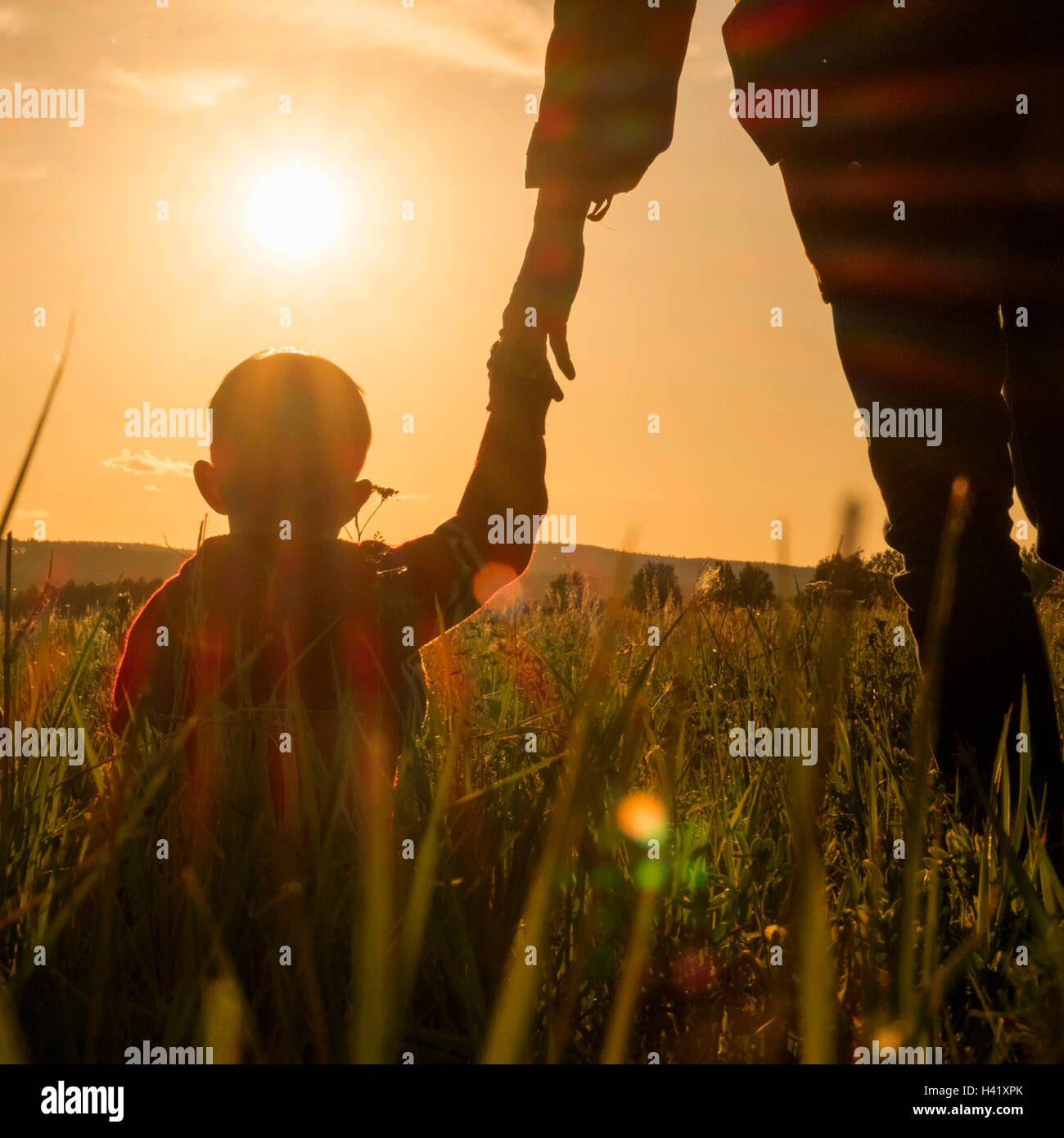 Donna e figlio tenendo le mani nel campo al tramonto Foto Stock