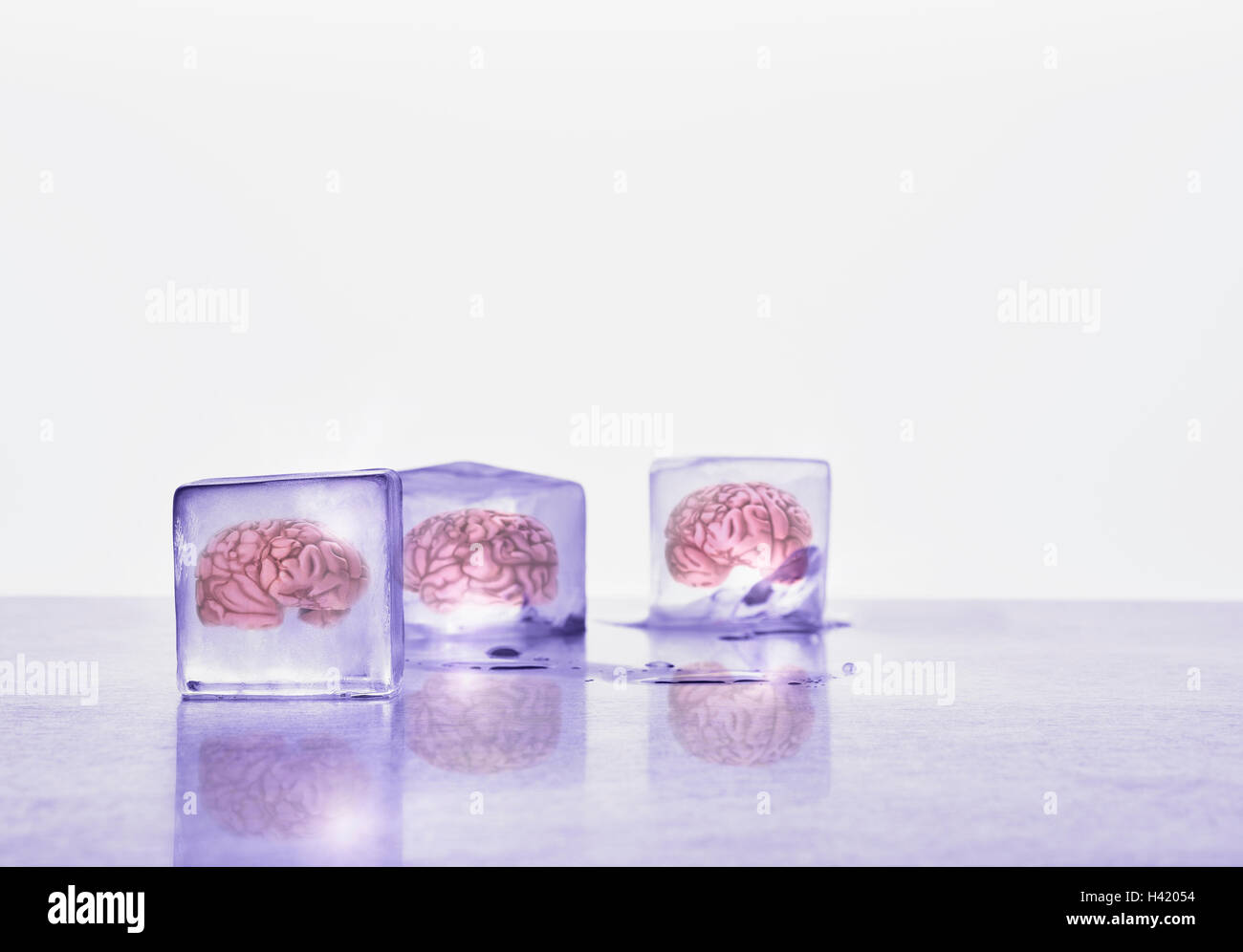Cervelli congelati in cubetti di ghiaccio Foto Stock