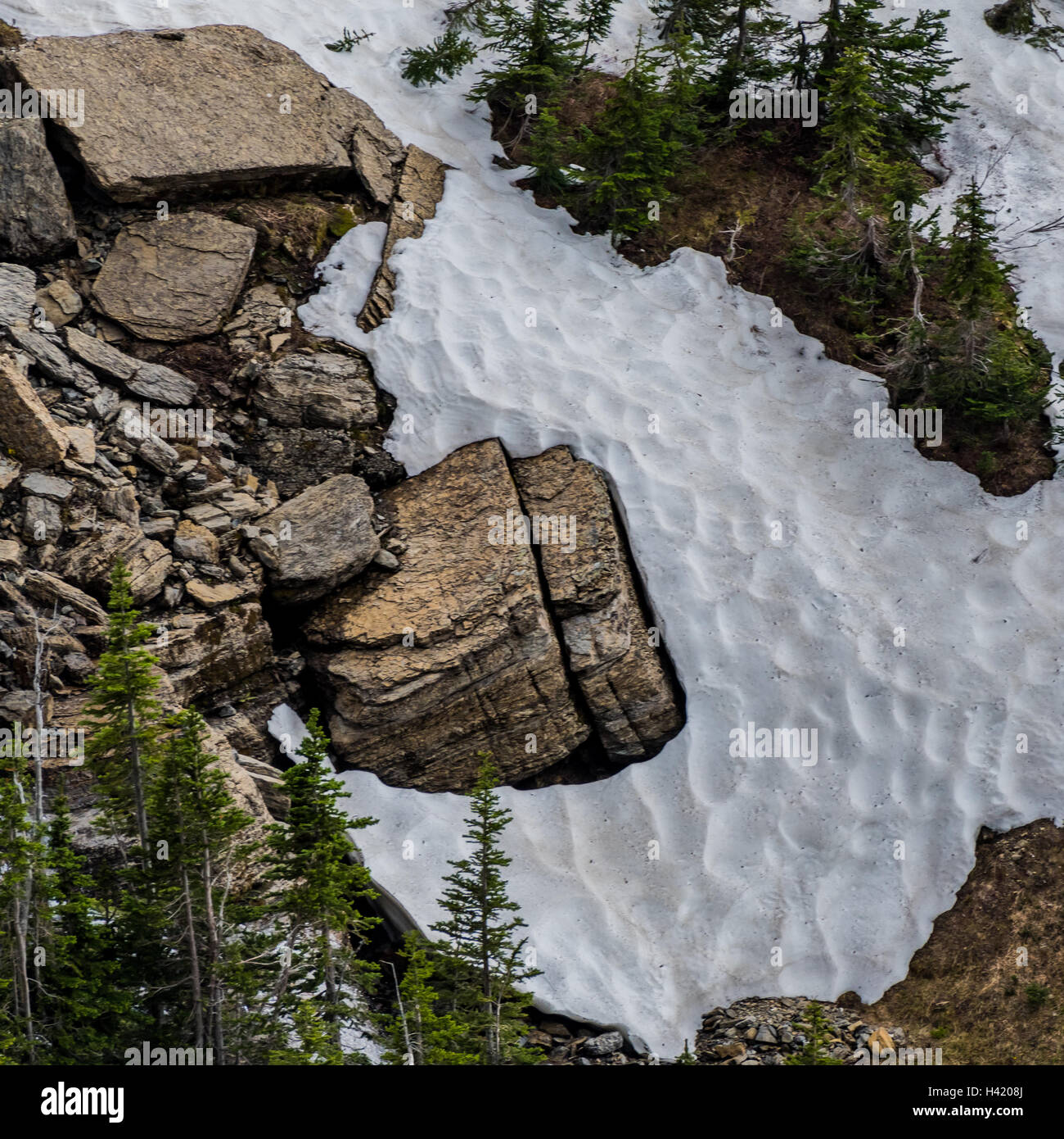Massi emergono dalla fusione della neve durante la prima estate nel Montana Foto Stock