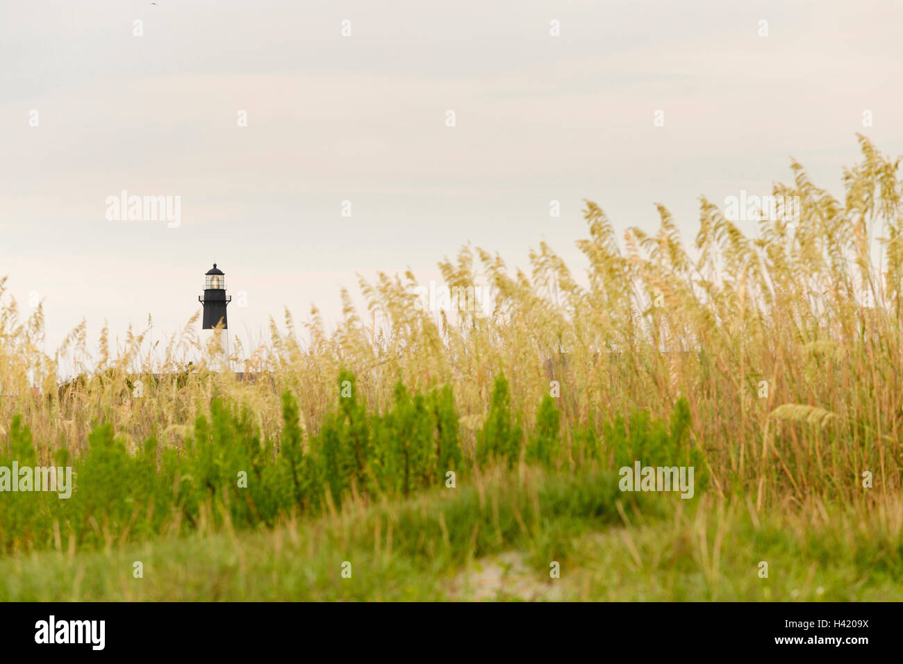 Faro lontano, Tybee, Georgia, Stati Uniti Foto Stock