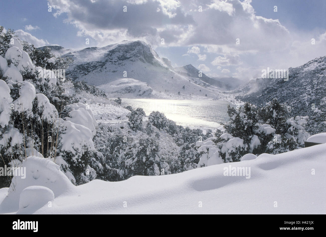 Spagna, Maiorca, paesaggio di montagna, Embalse de Cuber, inverno il mare Mediterraneo e le isole Baleari, isola, paesaggi, montagne, montagne, serbatoio, lago, artificialmente, coperta di neve, invernale, neve, freddo, stagione Foto Stock