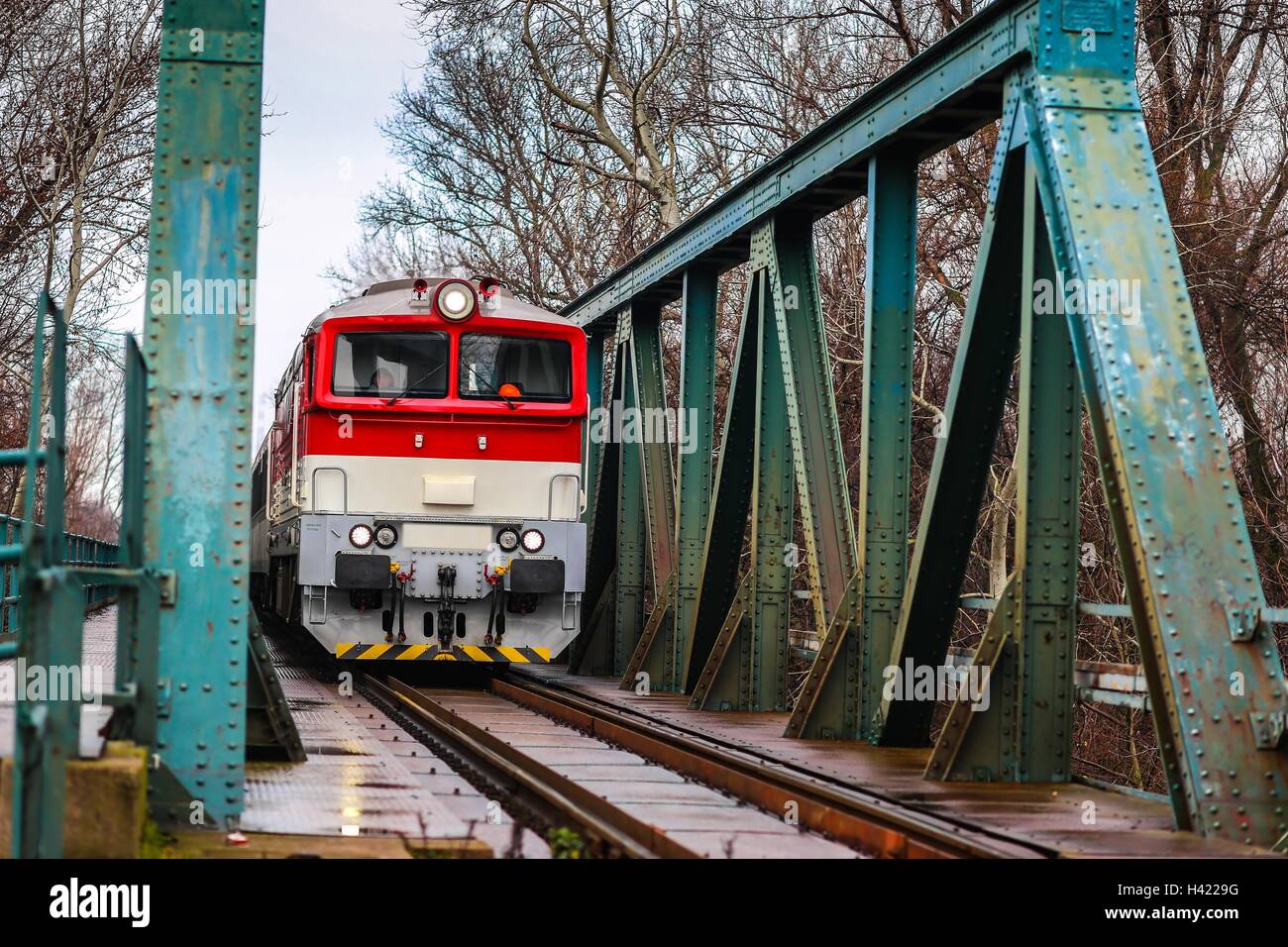 Il treno è venuta attraverso bridge Foto Stock