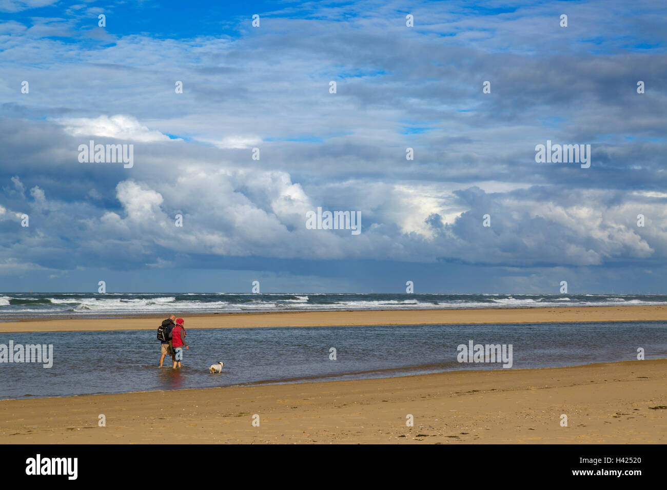Pochi cani sulla spiaggia Holkham Riserva Naturale Nazionale Norfolk Foto Stock