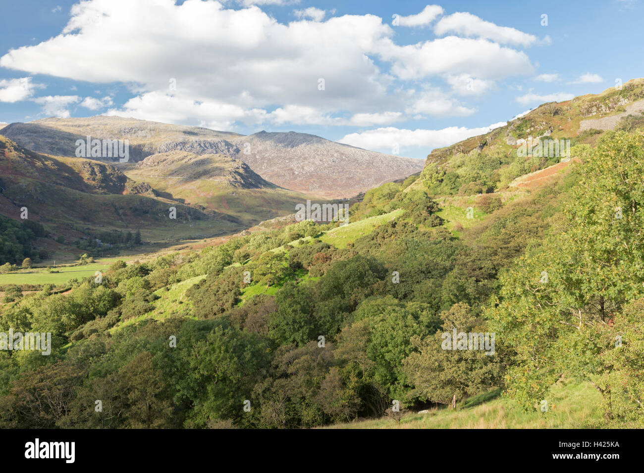 Cercando la valle Nantgwynant verso Glyder Fawr e Glyder Fach, Snowdonia National Park, North Wales, Regno Unito Foto Stock