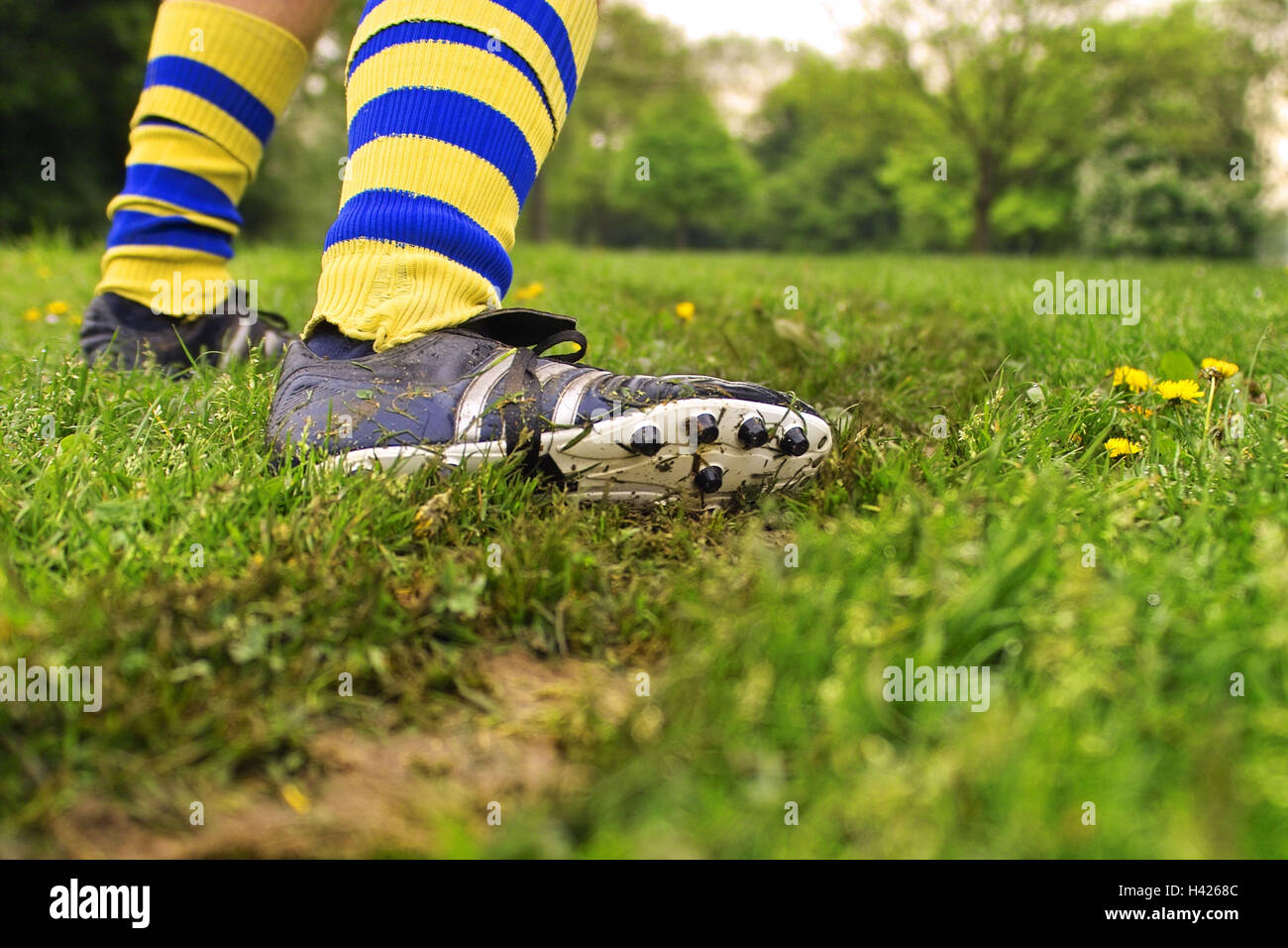 Soccer massa, uomo, dettaglio, le scarpe, i giocatori di calcio, giocatori,  20-30 anni, gambe, calze, calze, giallo-blu, scorrazzava, scarpe da calcio,  scarpe di tunnel, calcio giochi, prato, giocare Bolzplatz, tempo libero  hobby