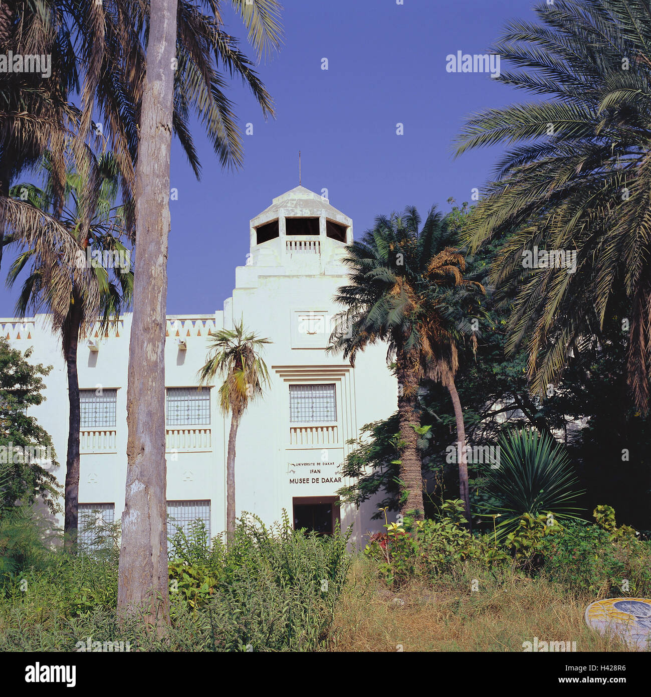 Il Senegal, Dakar, edificio, museo Ifan, istituto Fondamental d'Afrique Noire, Africa occidentale, Africa, penisola di Capo Verde, Porto, città capitale, edificio del museo, un museo Ifan, I.F.A.N., il Musee de Dakar, African Arts Museum, il Musee-d'Art-Africain, arte, cultura, palme, esterno, Foto Stock