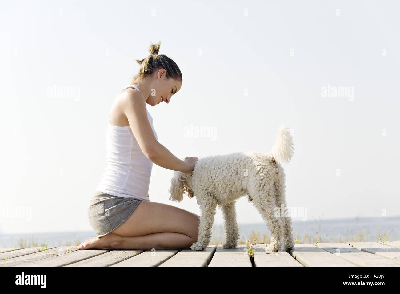 Donna, cane, sulla spiaggia, sul mare Foto Stock
