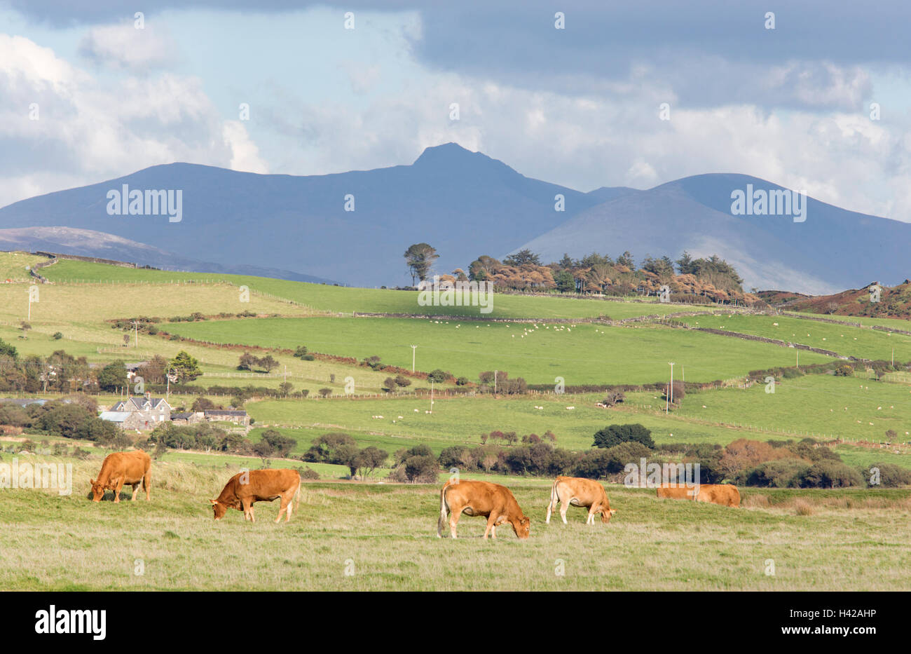 Cader Idris 'Cadair Idris mountain come si vede da Cardigan Bay vicino Tywyn, Galles del Nord, Regno Unito Foto Stock