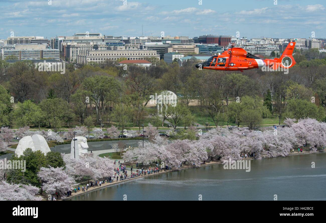 Stati Uniti La guardia costiera gli equipaggi in elicottero sorvola il Martin Luther King Jr National Memorial 'Stone di speranza" statua e fiore di ciliegio alberi lungo il National Mall durante il corso di addestamento specificamente Marzo 28, 2016 in West Potomac Park, Washington DC. Foto Stock