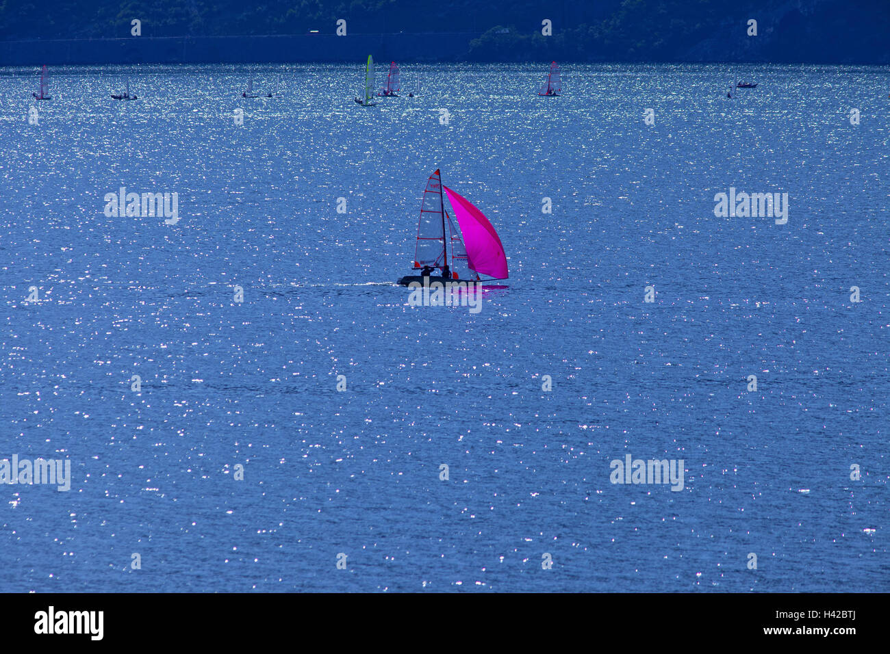 L'Italia, il Lago di Garda, barca a vela, Italia settentrionale, Sud Tirolo, Lago, acque, barca, surfer, tempo libero, hobby, attività, vacanze, turismo, Foto Stock