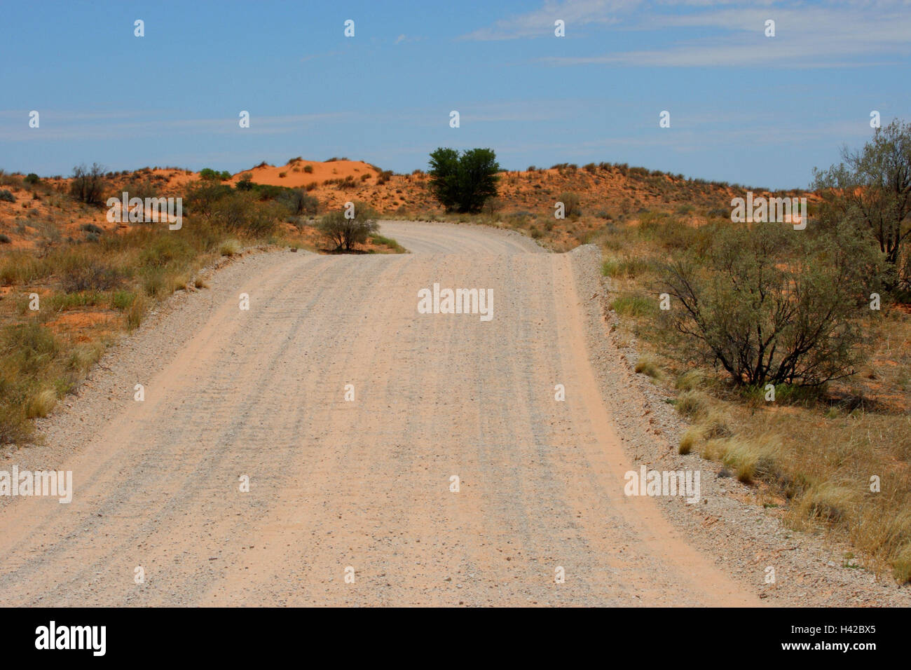 Scenario del Kalahari street, Foto Stock