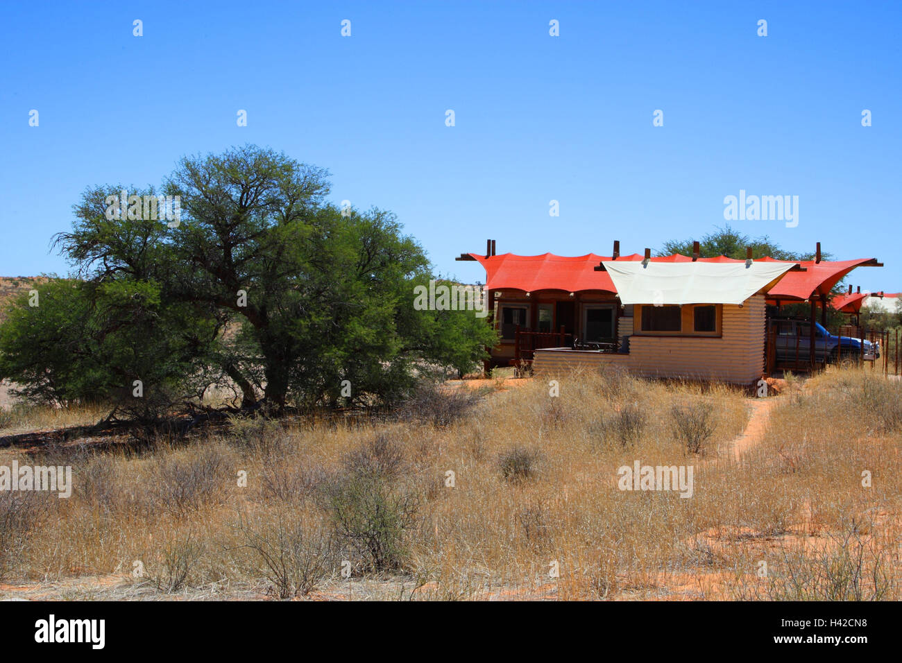 Kalahari Tendet camp, Foto Stock