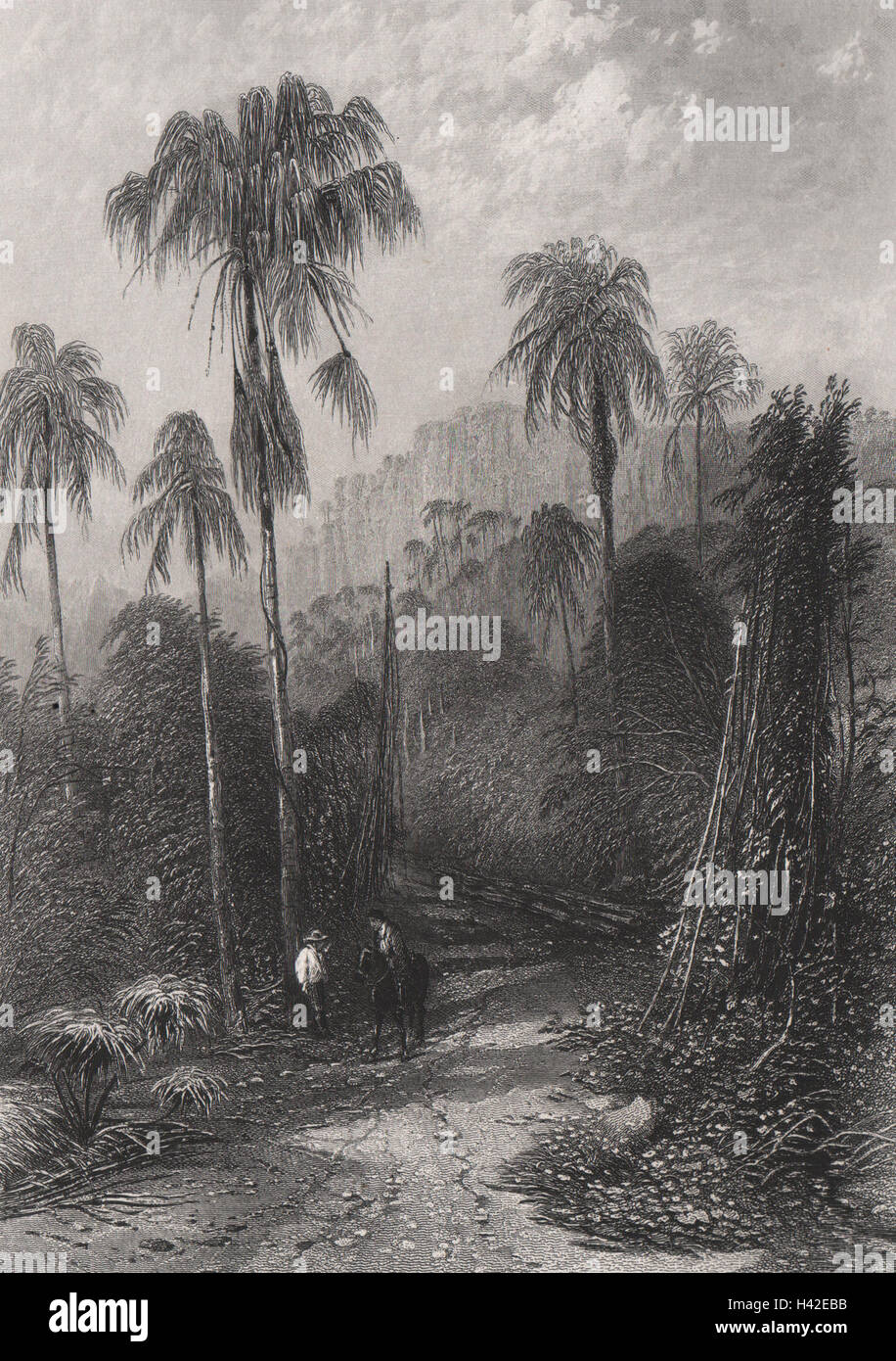 Il 'Monte Kiera, Nuovo Galles del Sud', da E.C. BOOTH/J.S. PROUT. NSW, Australia c1874 Foto Stock