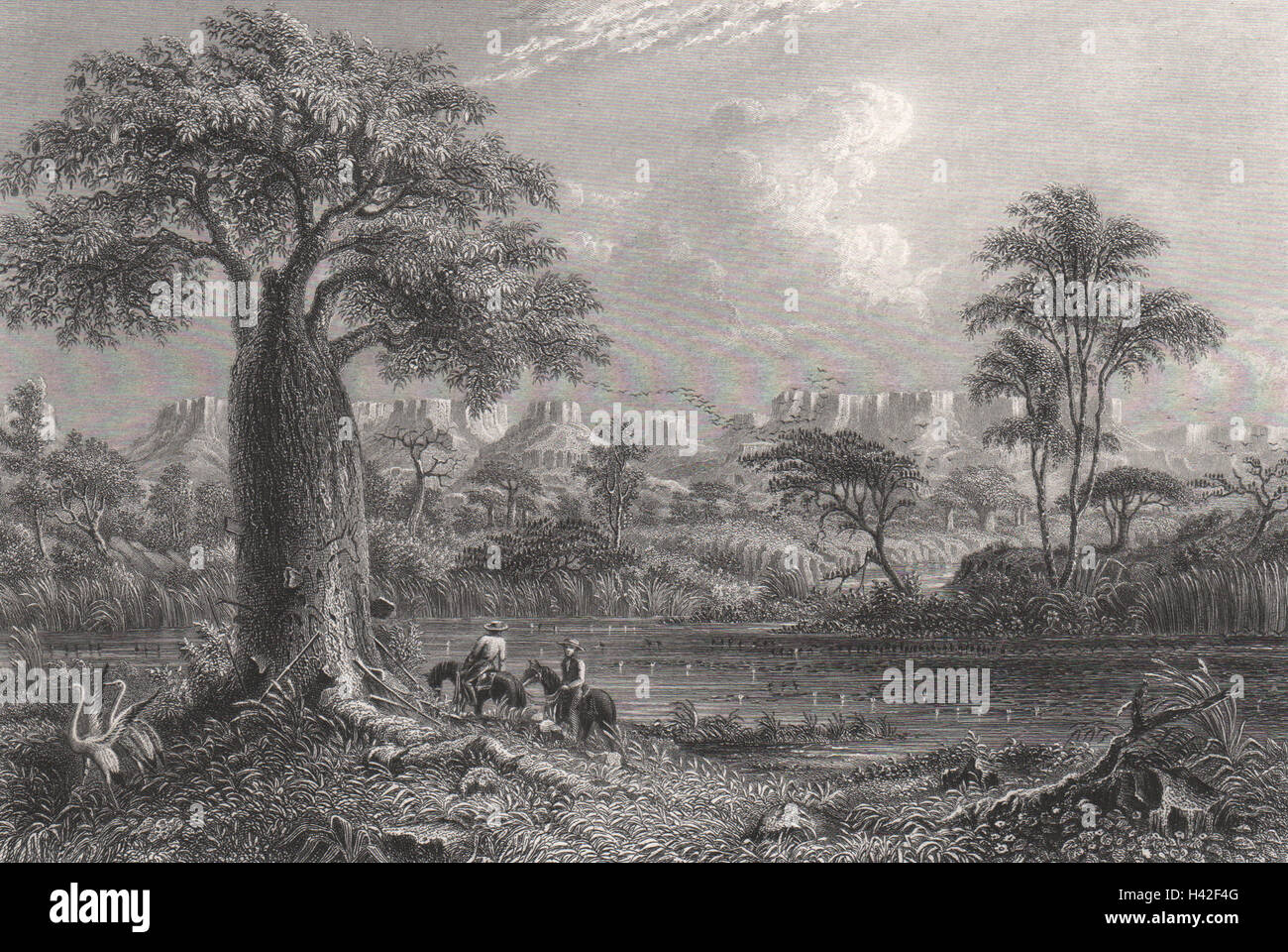 "Baines River, Australia settentrionale', da E.C. BOOTH/T. BAINES. NT, Australia c1874 Foto Stock