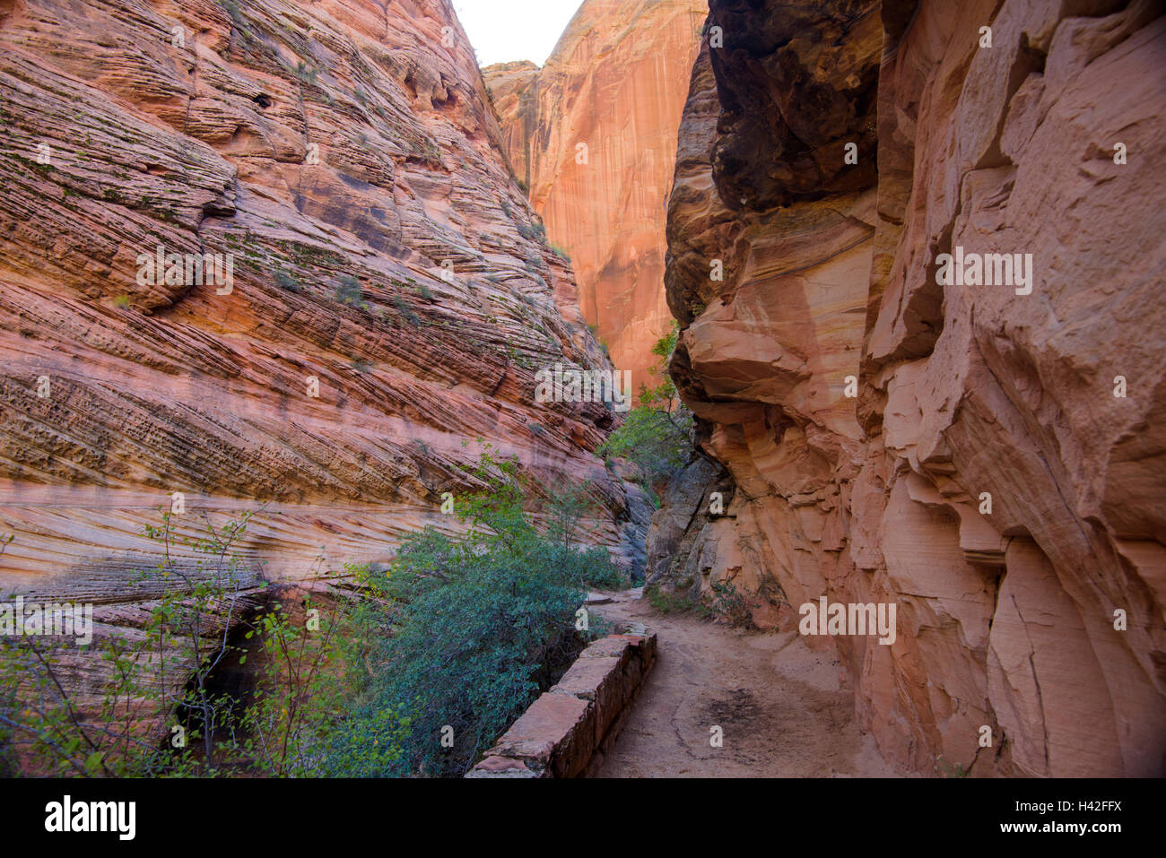 Hidden Canyon Zion National Park, situato nel sudovest degli Stati Uniti, nei pressi di Springdale, Utah. Foto Stock