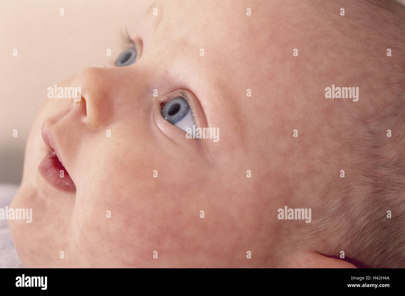 Baby, alta guarda, profilo, brocciato bambino neonato, 4 mesi, baby occhi, baby pelle, alertly, attenzione, lo sguardo verso l'alto, osservazione, osserva, affascina, fascino, scopre Foto Stock