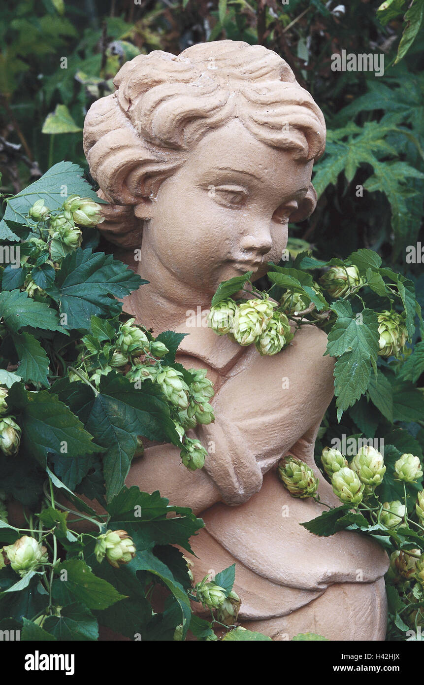 Giardino figura coperta, persona comune, il luppolo Humulus lupulus, natura botanica, Giardino, piante, arbusti, arrampicata arbusto, scalatore, piante ornamentali, piante di canapa, Cannabaceae, frutta plug, hop umbels, umbels, tappi, salto, Hopf, Hoppen, infiorescenze, hop bloss Foto Stock