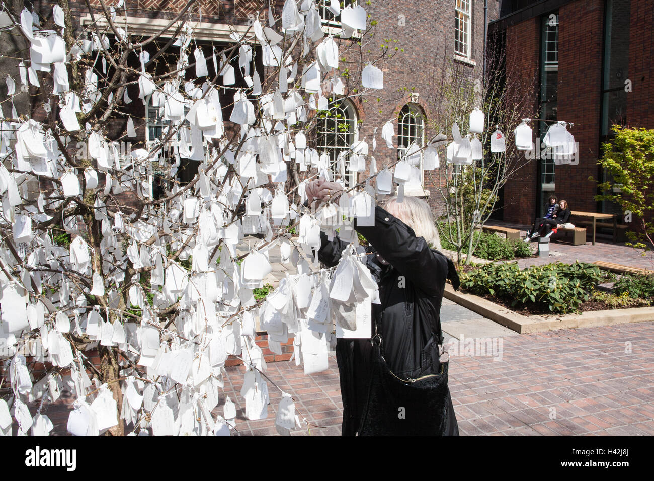 Wishing Tree da Yoko Ono ispirata dal Giappone nel cortile del Bluecoat Arts Centre,Hanover Street, Liverpool, Merseyside,Inghilterra. Foto Stock