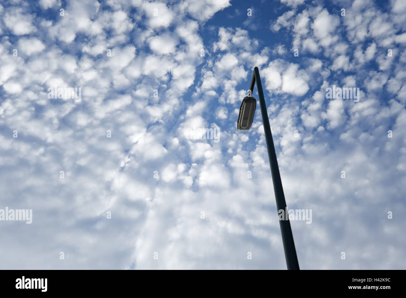 Cielo Molto nuvoloso, nubi Stratocumulus, strada lampada, dal di sotto, Foto Stock