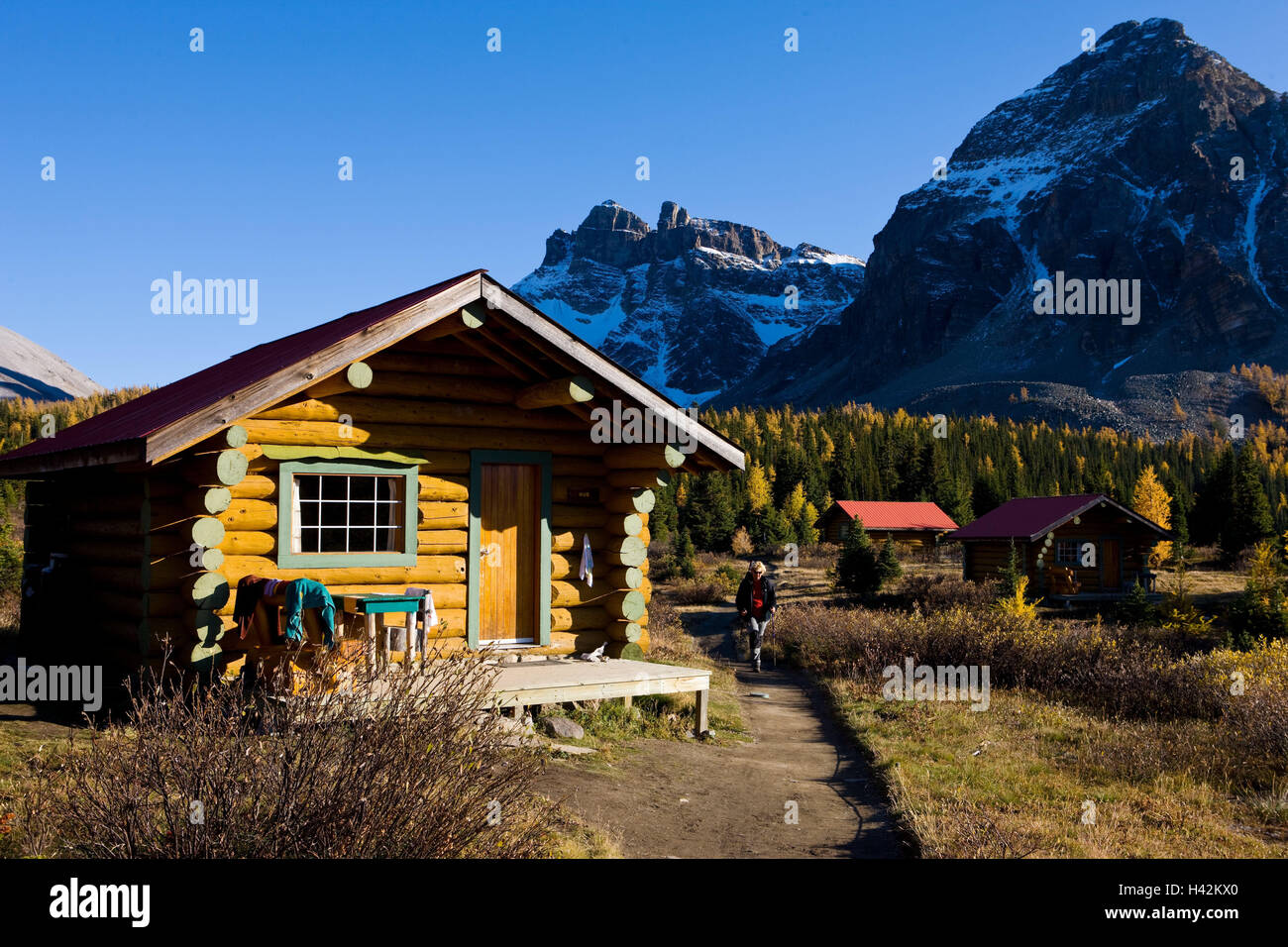 Alberta, Mt. Assiniboine Parco Provinciale, Mt. Assiniboine lodge, capanna, viaggiatore, modo, paesaggi, montagne, montagne, montagna del massiccio, il bordo della foresta, legno, la foresta di conifere, sentiero, in remoto, alloggi, vacanze della pianta, estate cottages, rustico, capanna in legno, log cabine, case di legno, baite, turismo, vegetazione, autumnally, persone, turistico, donna, vacanziere, a piedi, vacanza Foto Stock