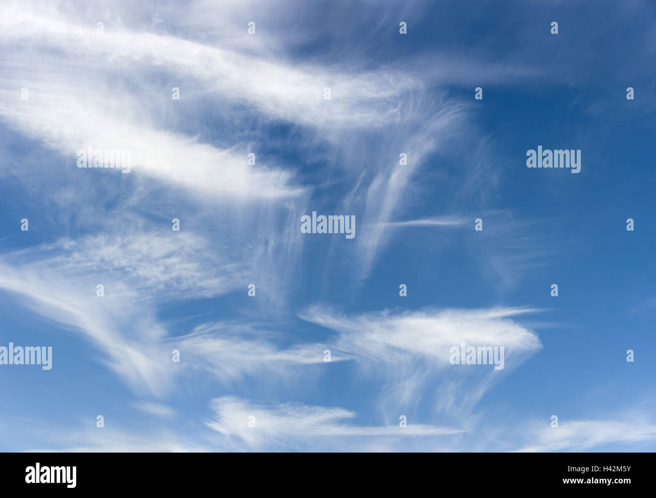 Cielo Molto nuvoloso, dal di sotto, Foto Stock