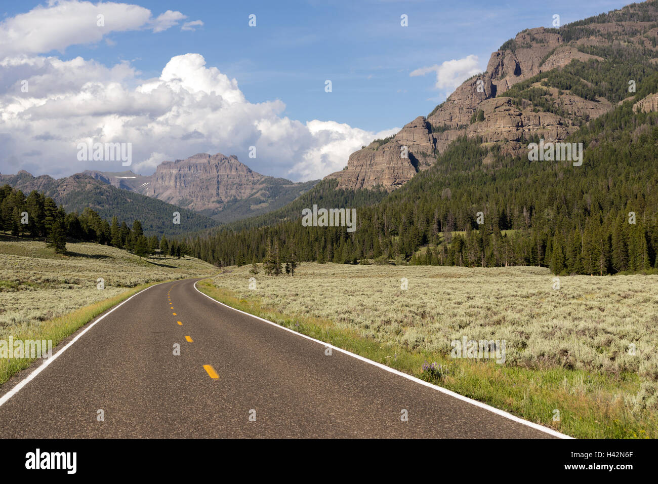 Strada tortuosa conduce verso le montagne di Yellowstone Foto Stock