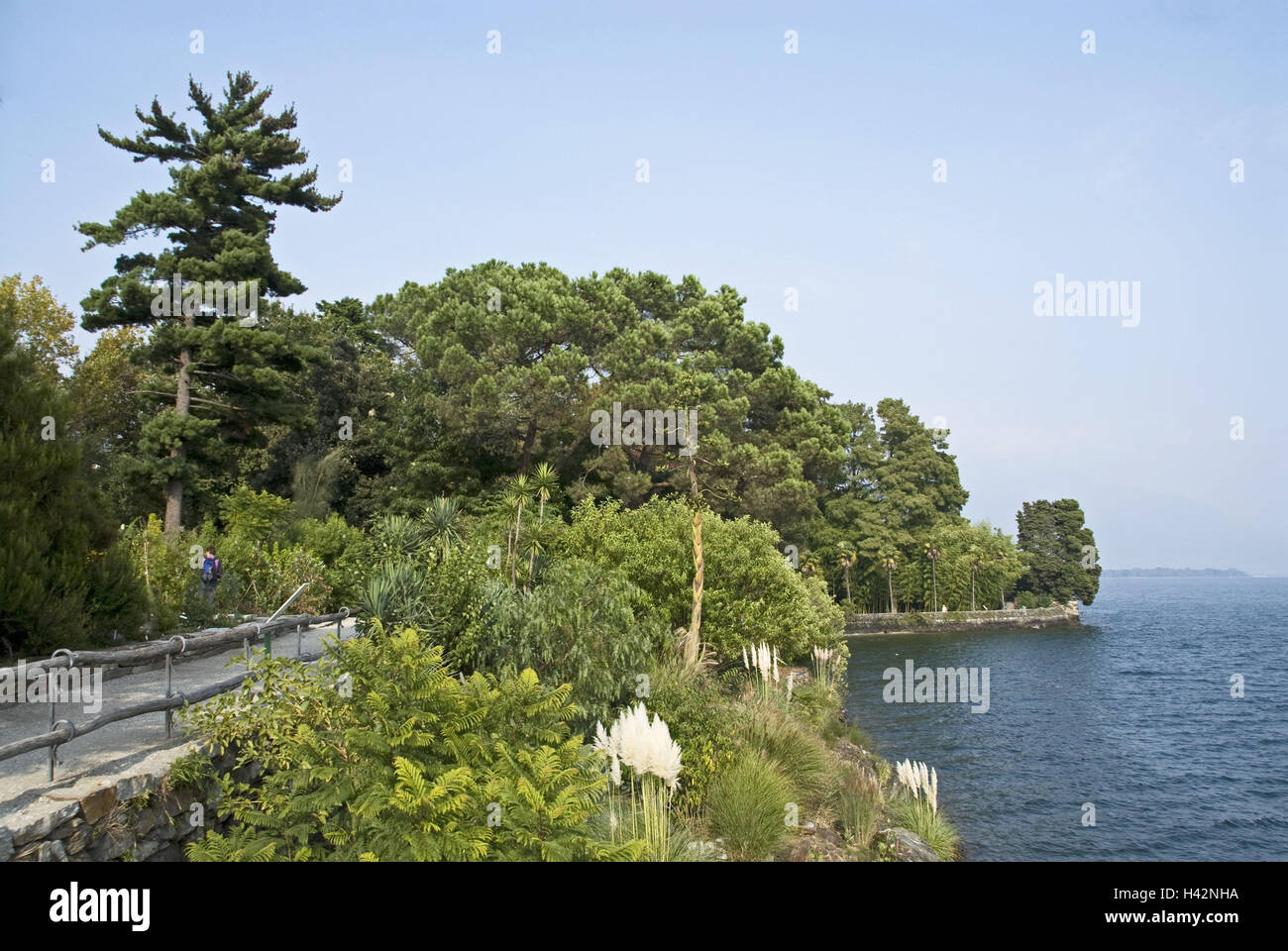 La Svizzera, Ticino, Lago Maggiore, isole Tu Brissago, Isola grandee, Riva, Foto Stock