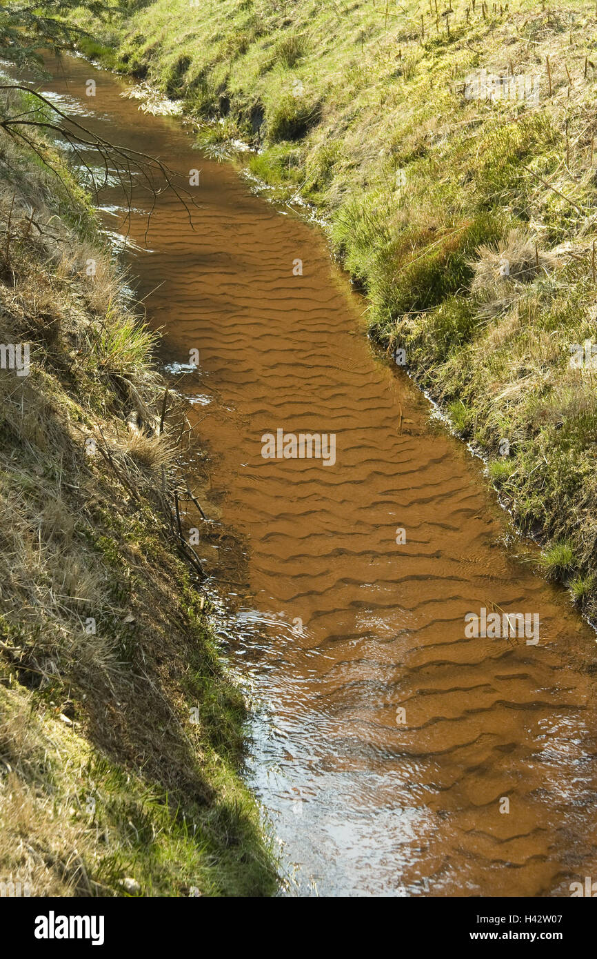 Meadow brook, dettaglio, campo trench, in trincea, pendenza, Brook, acque, acqua, portata, torba-contenente, livello, natura, ecosistema, habitat, deserte, Lüneburger moor, Foto Stock