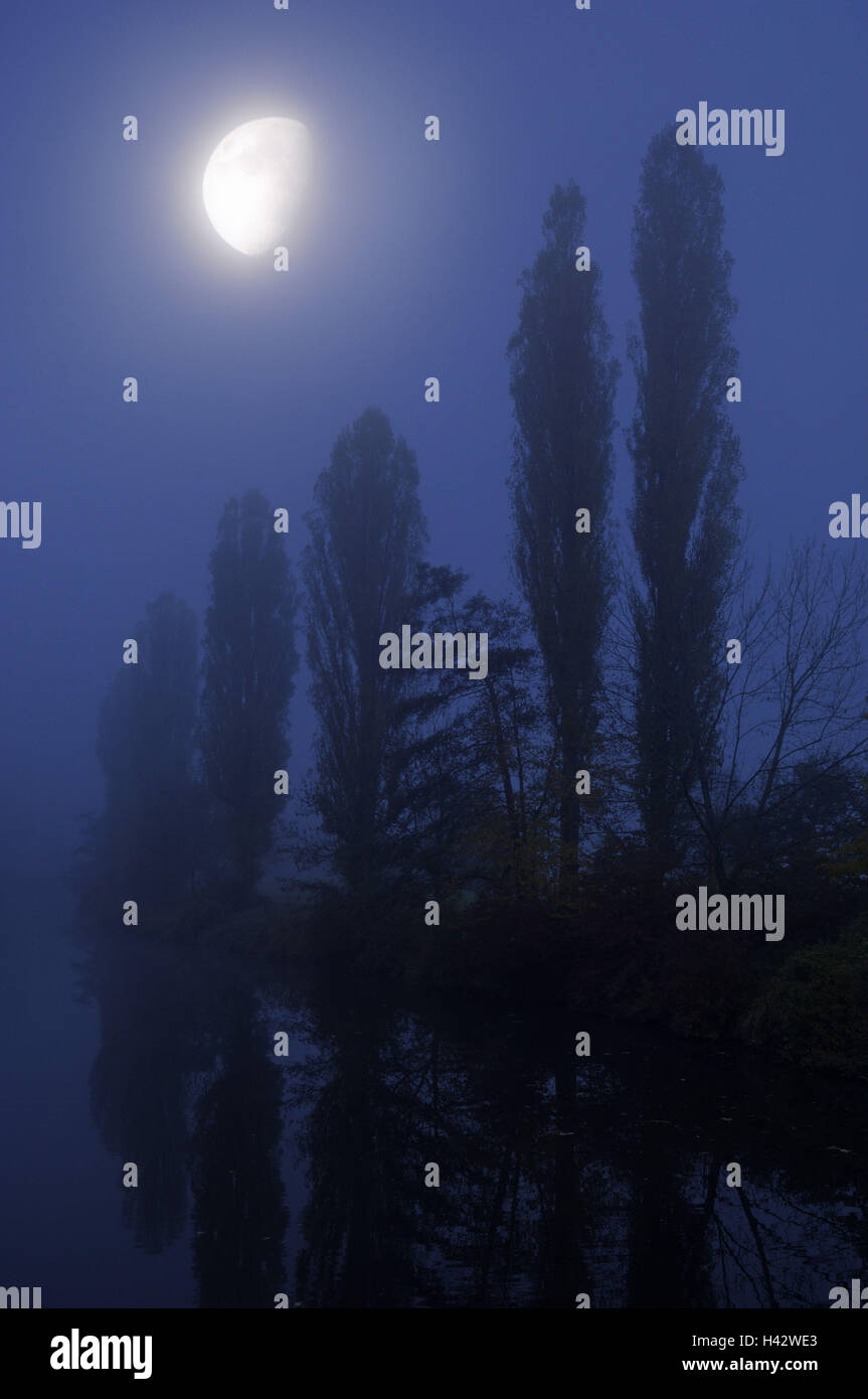 Paesaggio fluviale, alberi, luna, nebbia (M), Foto Stock