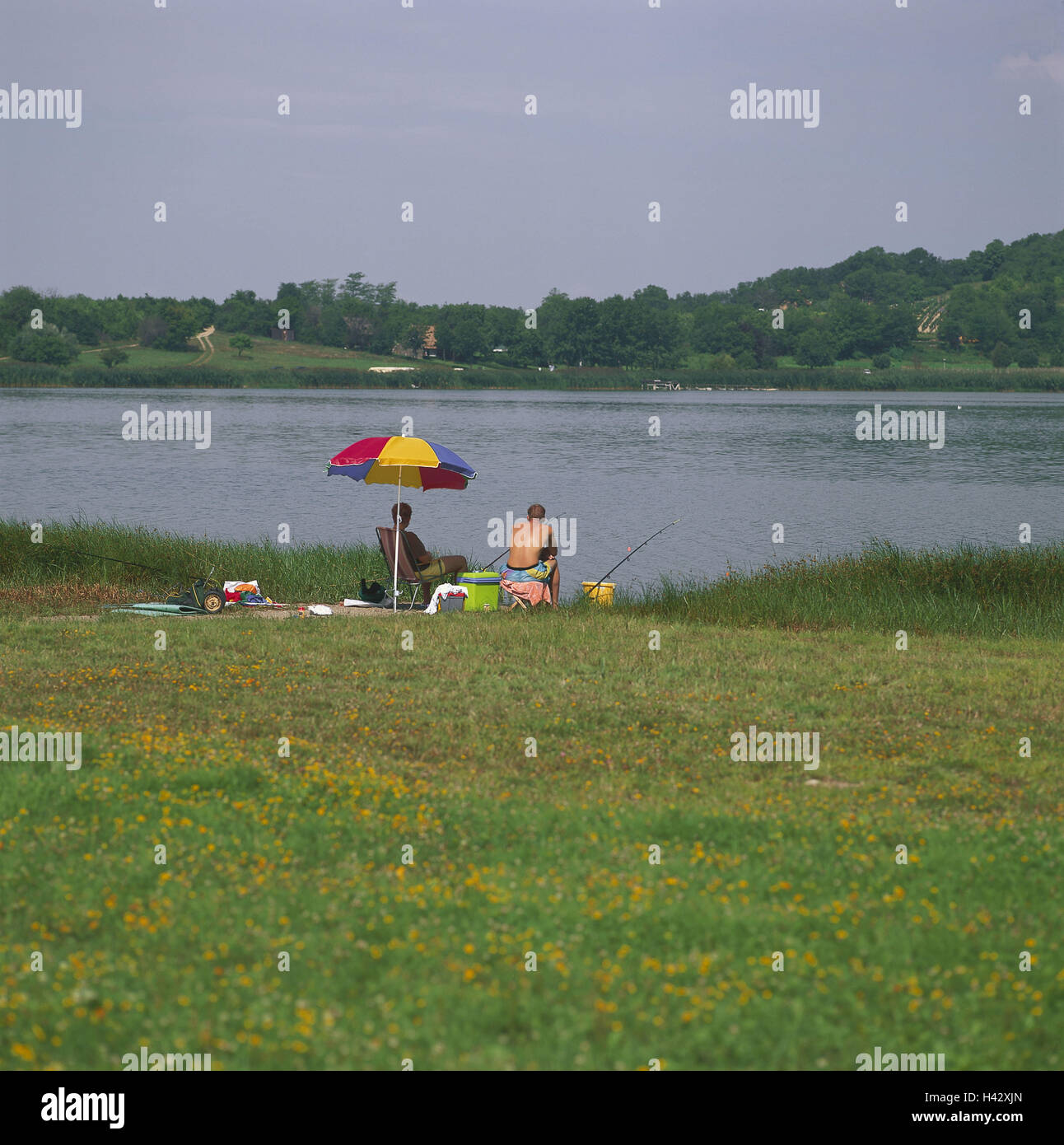 Ungheria, Balaton, Tihany, Lakeside, pescatore, vista posteriore, centrale, Europa, il lago di disco, un luogo popolare per le gite, lago, Riva, pescatore, pesce, tempo libero e attività per il tempo libero, vista al di fuori, estate Foto Stock