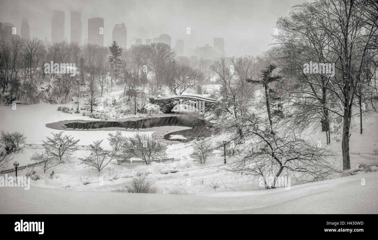 Inverno tempesta di neve nel parco centrale con vista sul Gapstow Bridge e il laghetto congelato. Manhattan, New York City Foto Stock