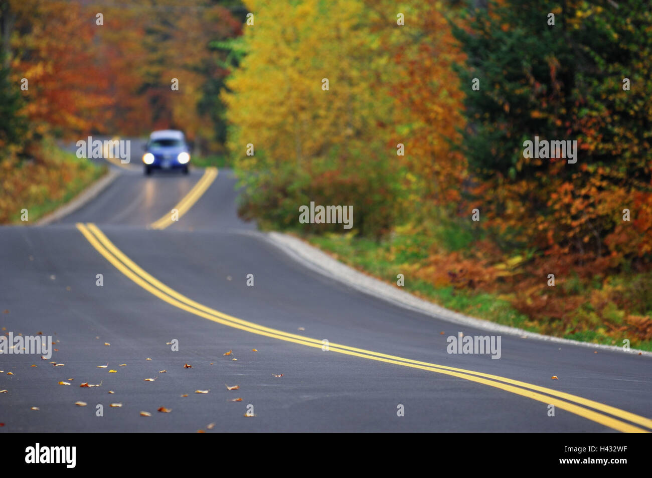 Street, auto, legno di autunno, non passante, USA, Vermont Foto Stock