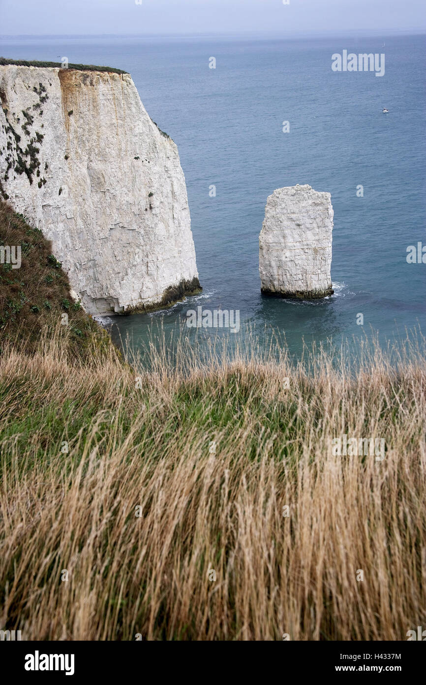Il Regno Unito, l'Inghilterra del Sud, Jurassic Coast, prato, scogliere, Old Harry Rocks, mare, isola, costa, Foto Stock
