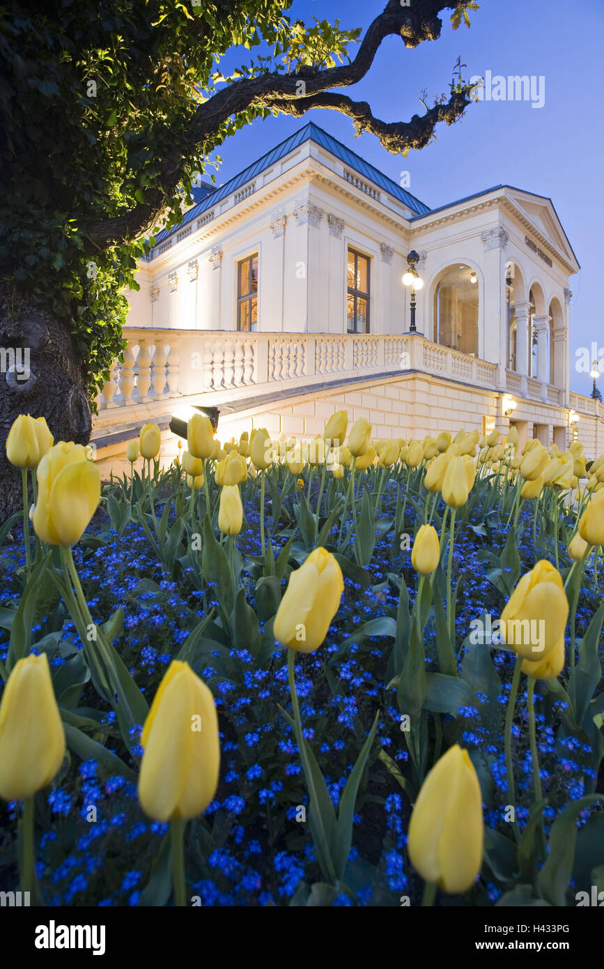 Austria, Baden vicino a Vienna, casinò, health resort park, i tulipani, Foto Stock