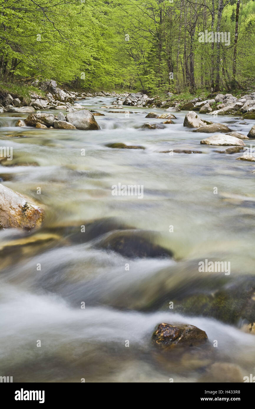 Austria, parco nazionale delle Alpi di calce, crooked Steyrling, fiume, acqua, Foto Stock