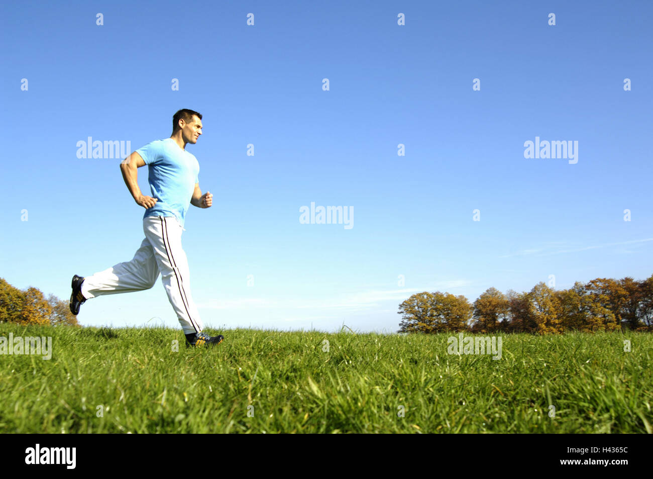 L'uomo, fitness, natura, jogging, prato, salute, all'aperto, motion, sport, corsa, condizione, perseveranza, dinamicamente, potentemente, attività di formazione, lifestyle, atleticamente spazio copia, Foto Stock