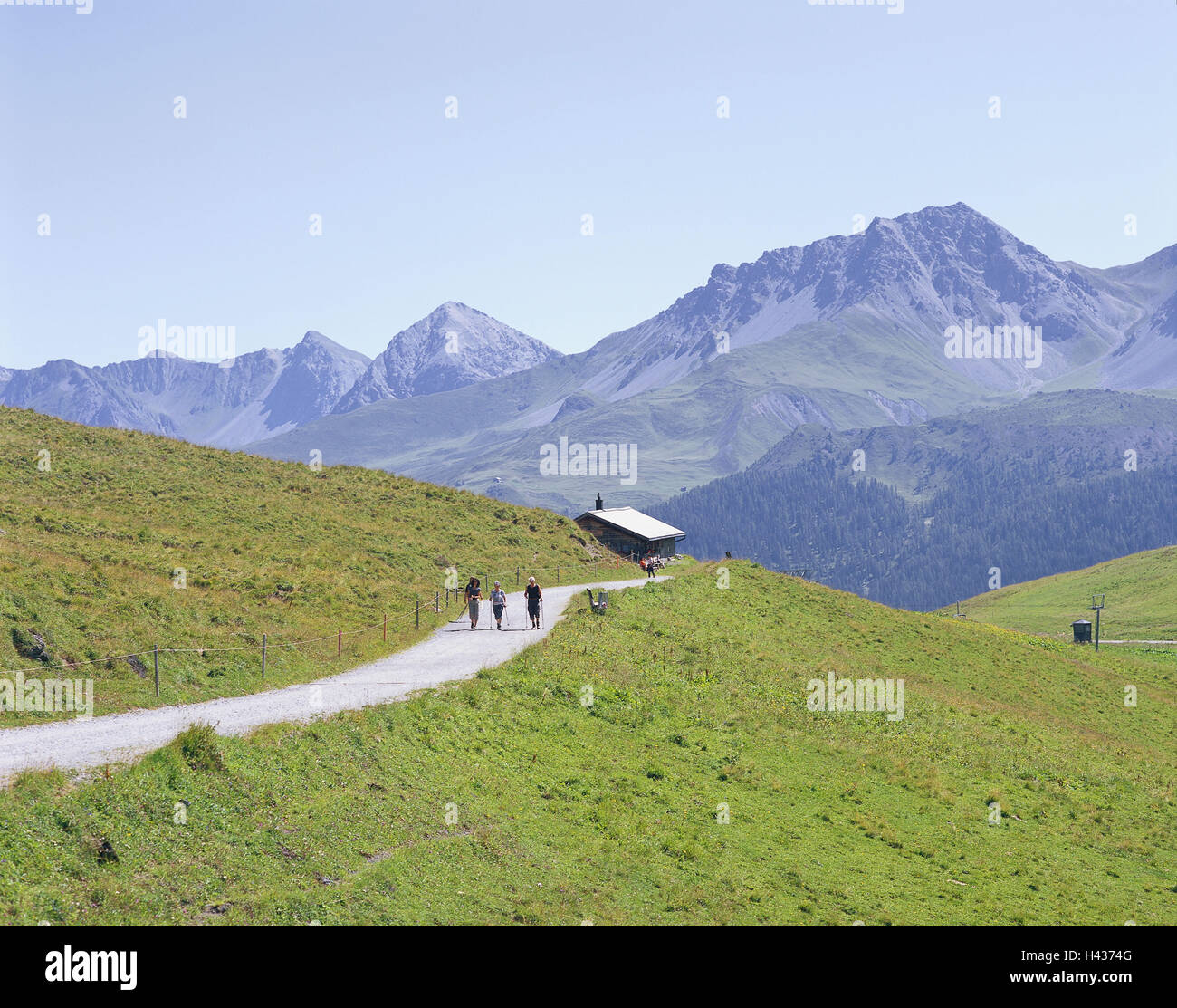 La Svizzera, Arosa, paesaggio di montagna, Arlenwaldweg, Wanderer, dei Grigioni, montagne, alp, rifugio alpino, sentiero, di modo, strada forestale, strada forestale, persone, escursioni, mountain wanderer, escursione in montagna, destinazione, escursionismo, tempo libero, hobby, attività, vacanze, vacanza itinerante, estate, turisti, escursione in altezza, Foto Stock