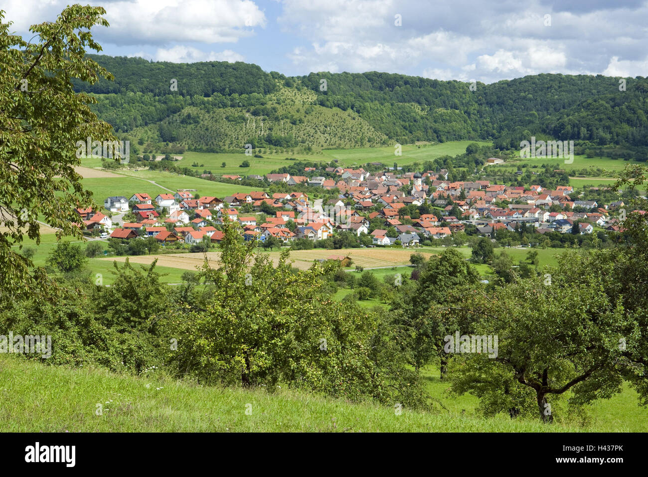 Germania, Baden-Württemberg, bagno Überkingen-Unterböhringen, locale panoramica, Filstal, valley, bacino, Unterböhringen, vista locale, case, case, orchard prati, prati, legno, alberi, paesaggi, Foto Stock